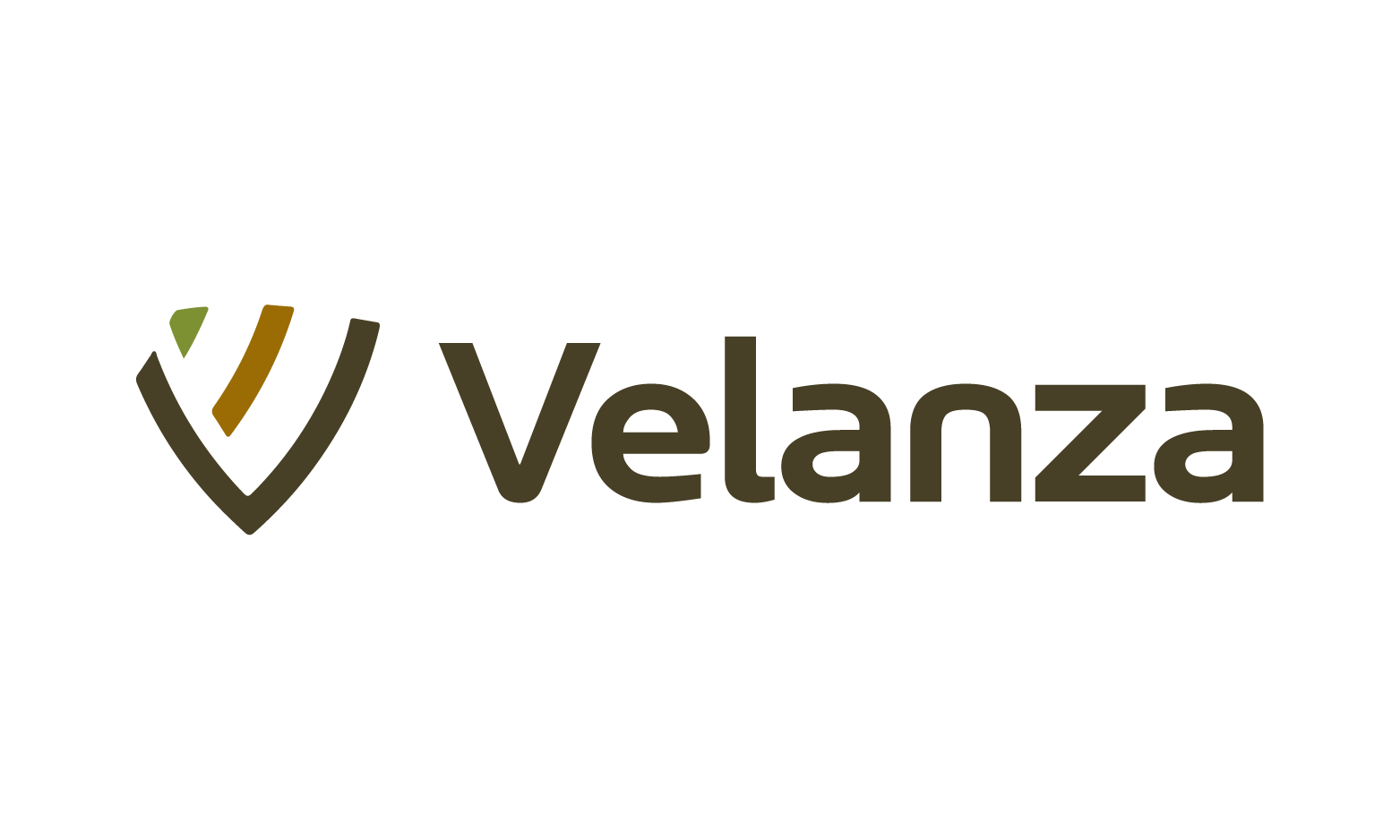 Available Business Name For Sale - Velanza